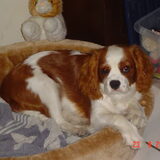 Foto van leony met Binky