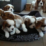 Foto van leony met Binky