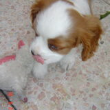 Foto van leony met Binky
