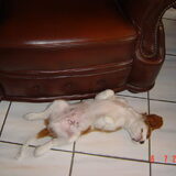 Foto van leony met Binky