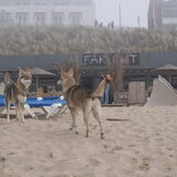 Mana en Leffe
