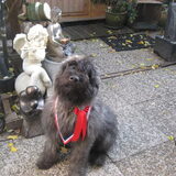 dit heb ik gewonnen op de club match 11-09-2010