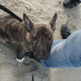 Foto van Jen & Rocky