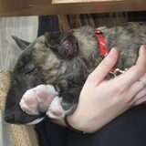 Foto van Jen & Rocky