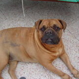 Foto van leony met Binky