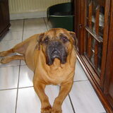 Foto van leony met Binky