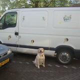 Foto van sander