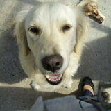 Foto van lisa en laycka