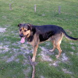 Spike weer op de brielse maas