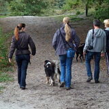 Hondenwandeling HP 26-09-2010