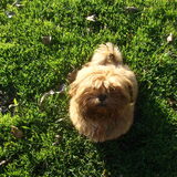 Keiko sept 10