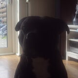 Foto van jessy en djeko