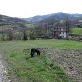 Wandelen in de bergen...