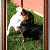 Foto van Vincent&Daisy