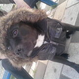Foto van jessy en djeko