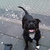 Foto van jessy en djeko