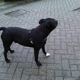 Foto van jessy en djeko