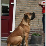 Waar blijft mijn koekje?