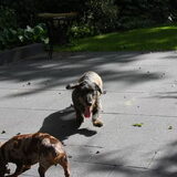 boris en saar