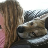 Foto van Leffe Saarlooswolfhond
