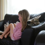 Foto van Leffe Saarlooswolfhond