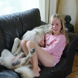 Foto van Leffe Saarlooswolfhond