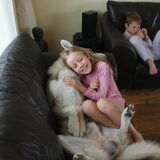 Foto van Leffe Saarlooswolfhond