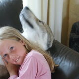 Foto van Leffe Saarlooswolfhond