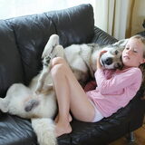 Foto van Leffe Saarlooswolfhond