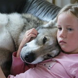 Foto van Leffe Saarlooswolfhond