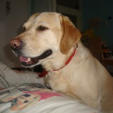 lieve heer ik wens