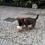 Wat is die bal groot he, bij zo'n klein moppie.