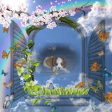 Foto van leony met Binky
