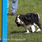 Eerste B1 wedstrijd