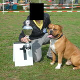 Foto van Daisy