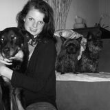 the pack