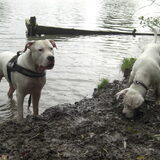 Major met grote broer Igor