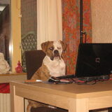 mack op HP