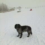 In de winterse kou (nog even niet) vind ik het heerlijk buiten te…
