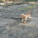 wandelen met de oogjes toe