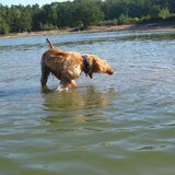 in het water