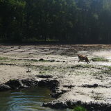 een dagje erop uit in de bossen, aan het water spelen