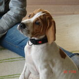 Foto van anouk