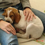 Foto van anouk