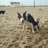 Foto van Nicky en Maggie