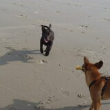 Foto van Elke <3 Bo