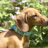 Foto van gabrielle