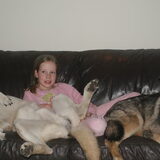 Foto van Leffe Saarlooswolfhond