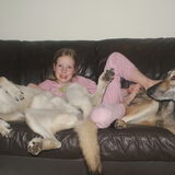 Foto van Leffe Saarlooswolfhond