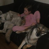 Foto van Leffe Saarlooswolfhond